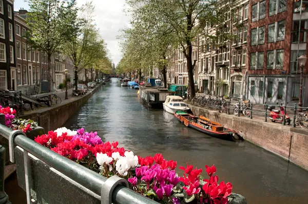 Kanal in Ansterdam — Stockfoto