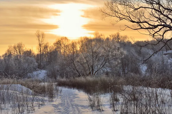 Sonnenuntergang im Winterpark — Stockfoto