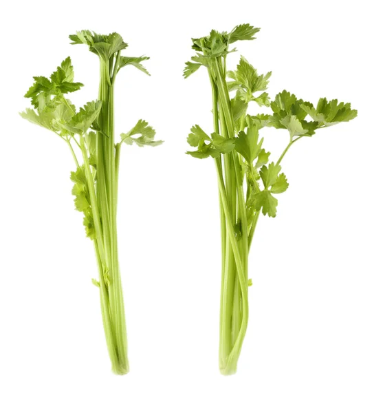 Stonky celeru — Stock fotografie