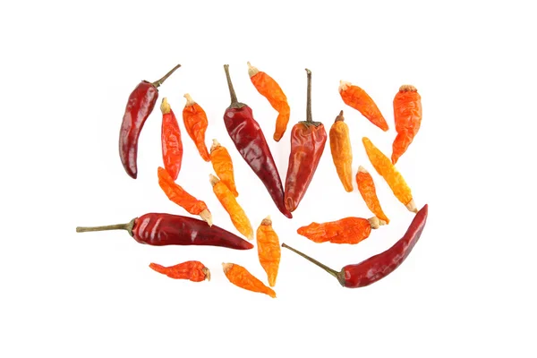 Dried chili — Stock Photo, Image
