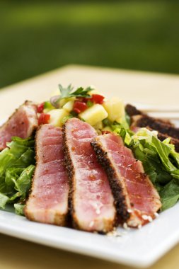 Seared tuna in square plate clipart