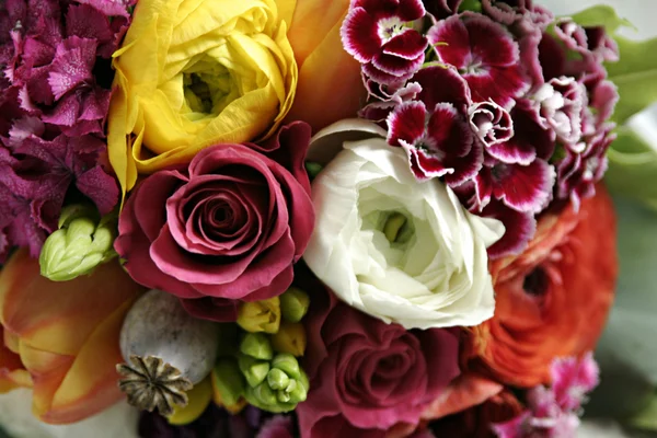 Bouquet coloré — Photo