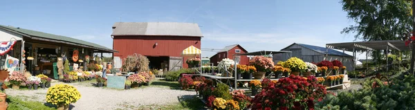 stock image Farm Panorama with Floral Merchandise