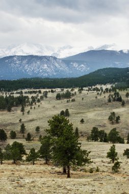 Rocky Mountains Landscape clipart