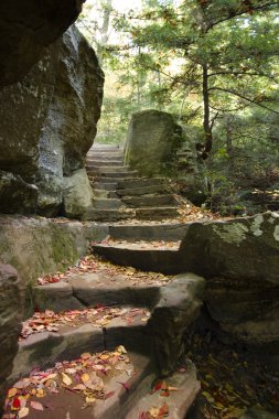 Autumn Stairway clipart