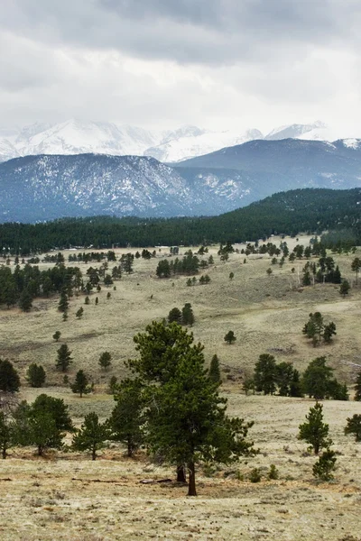 stock image Rocky Mountains Landscape
