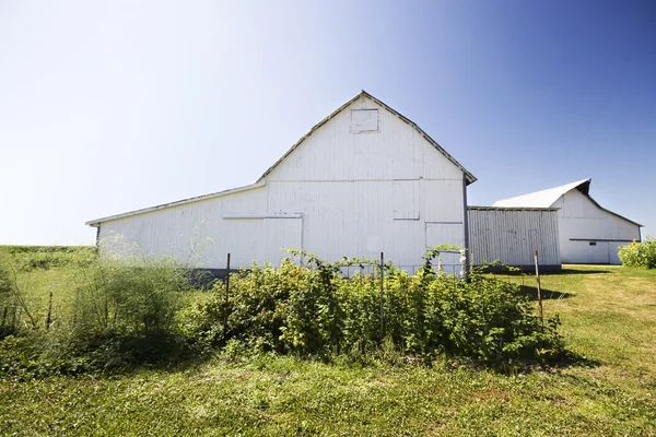 Ohio stodola v létě — Stock fotografie
