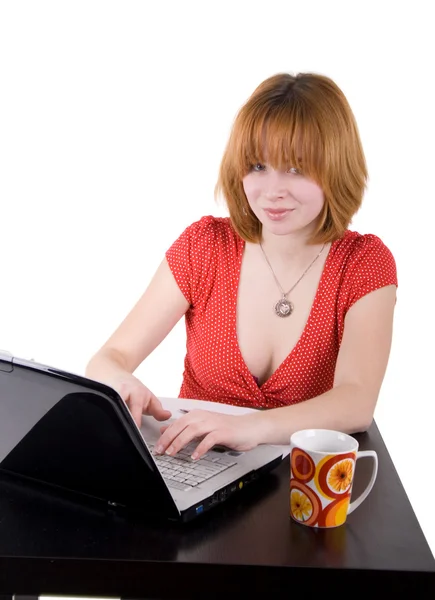Dizüstü bilgisayarda çalışan güzel bir kız — Stok fotoğraf