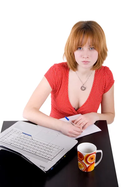 Κορίτσι που εργάζεται σε φορητό υπολογιστή — Φωτογραφία Αρχείου