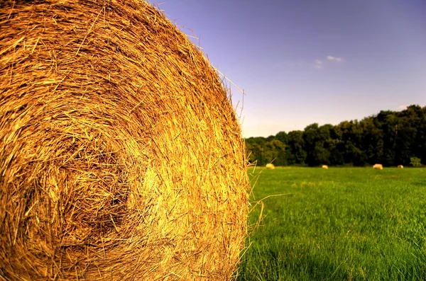 stock image Hay bale