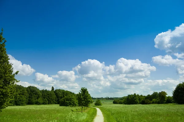 stock image The path