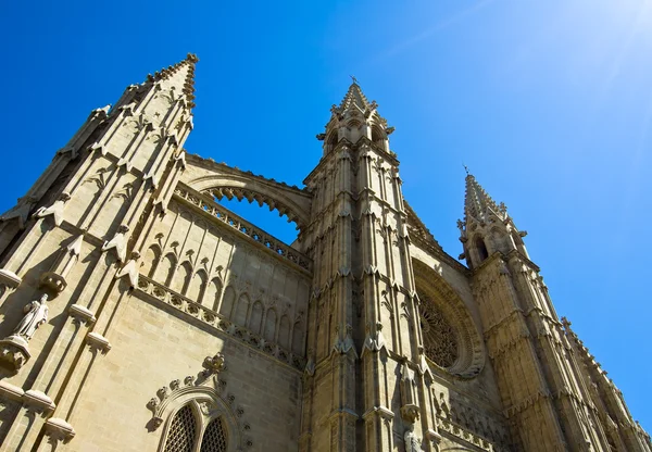 stock image La Seu