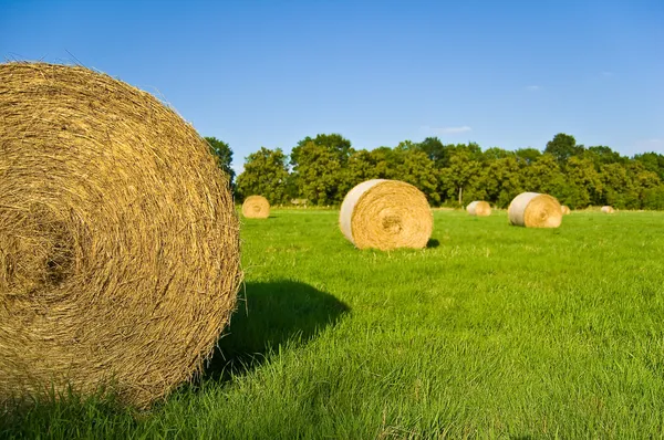 stock image Hay bale