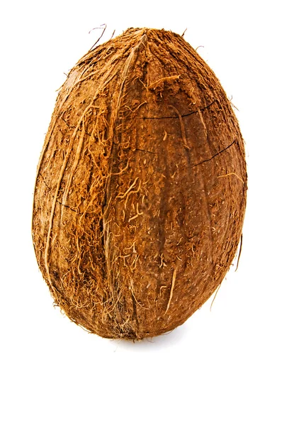 코코넛. — 스톡 사진