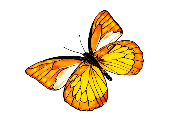 A borboleta desenhada . — Fotografia de Stock