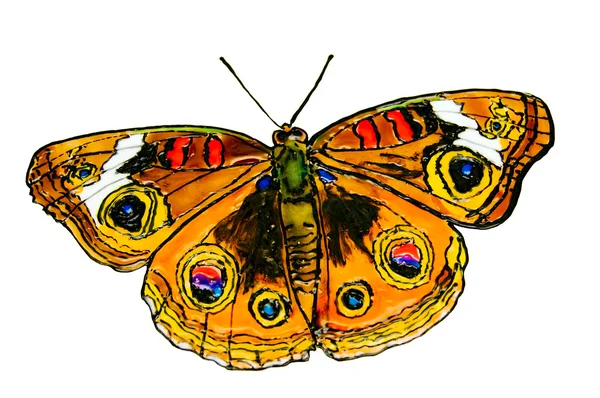 La mariposa dibujada . —  Fotos de Stock