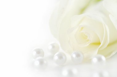 Beautiful white rose with pearls clipart