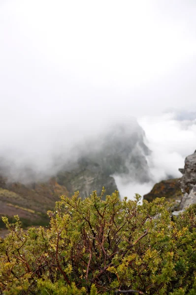 Góry wyspy Madera — Zdjęcie stockowe
