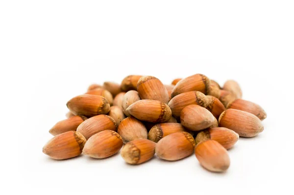 stock image Hazelnuts isolated