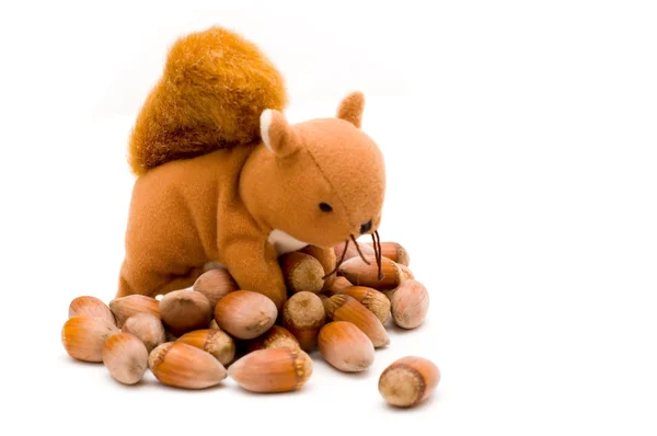 Ivriga ekorre med hasselnötter — Stockfoto