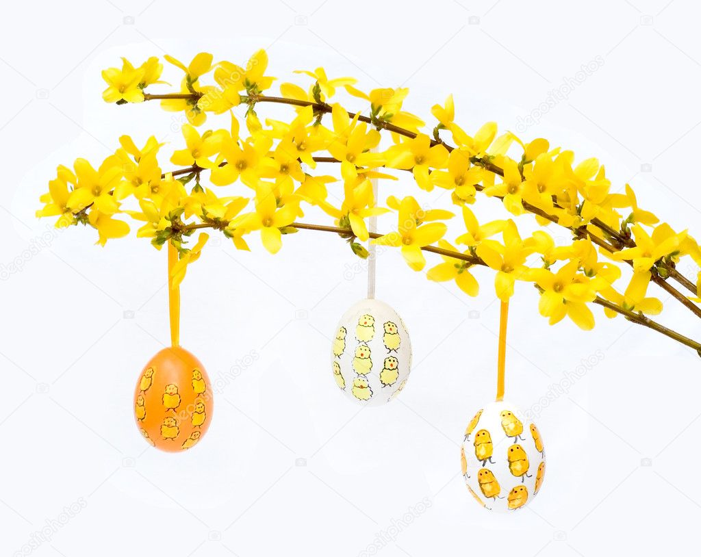 Hand-painted Easter eggs on forsythia br