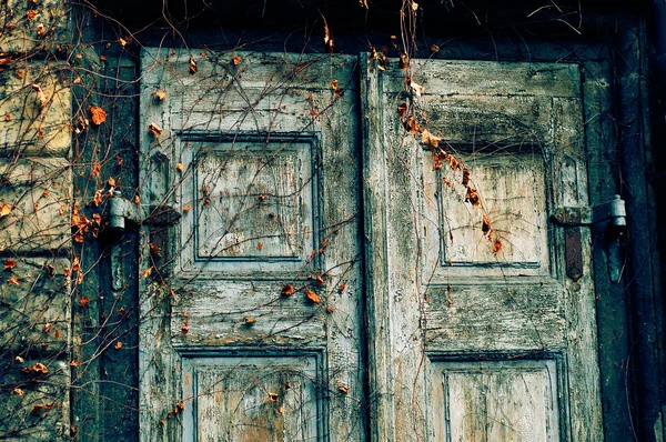 Old grunge door background — Stock Photo, Image