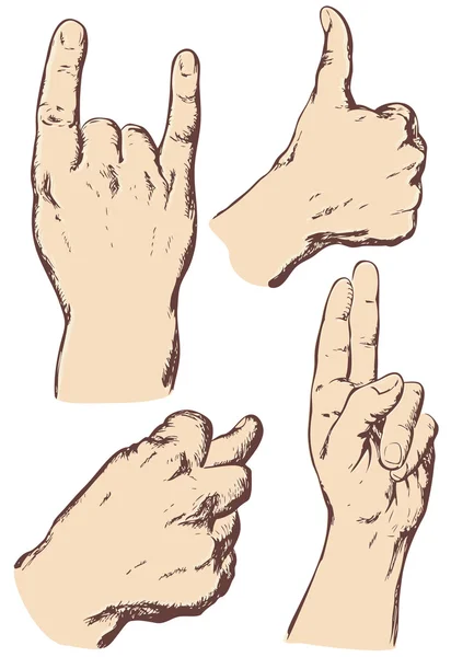 Main droite — Image vectorielle