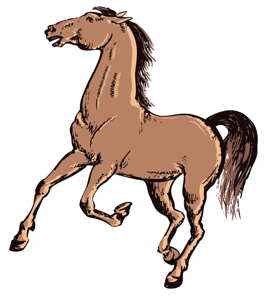 Paard Stockvector