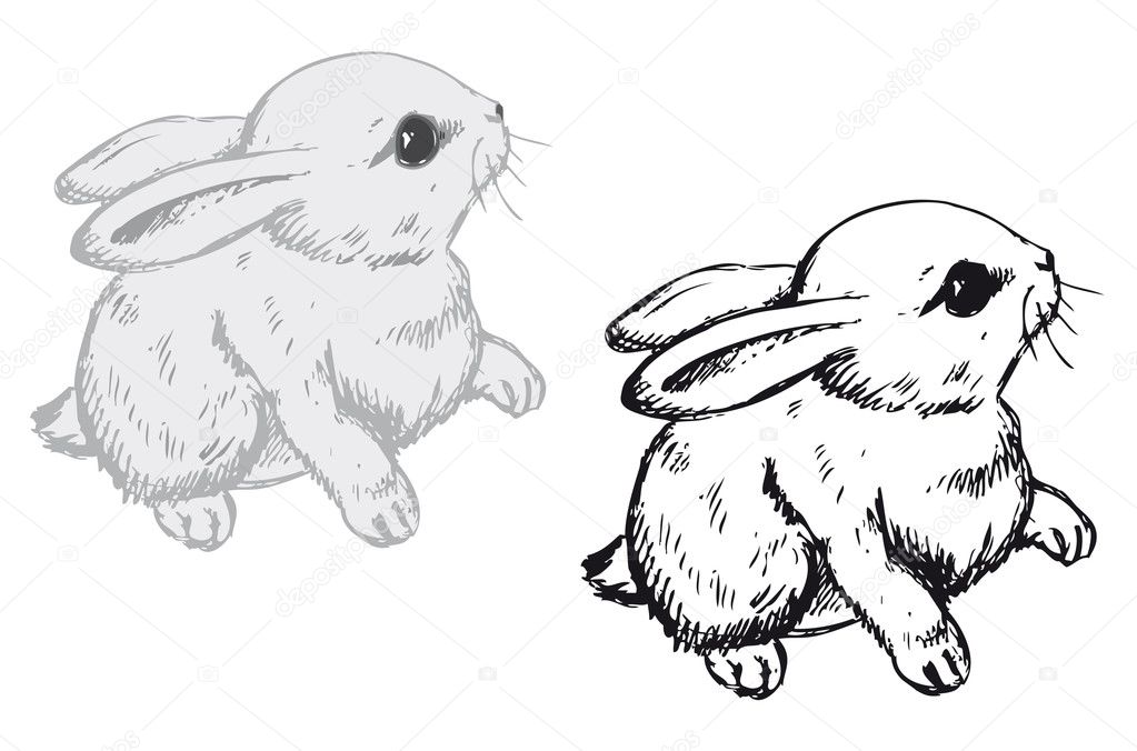 Hase — Stockvektor © sergografik #2594835