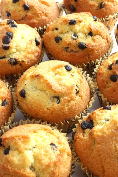 Stock image Muffins