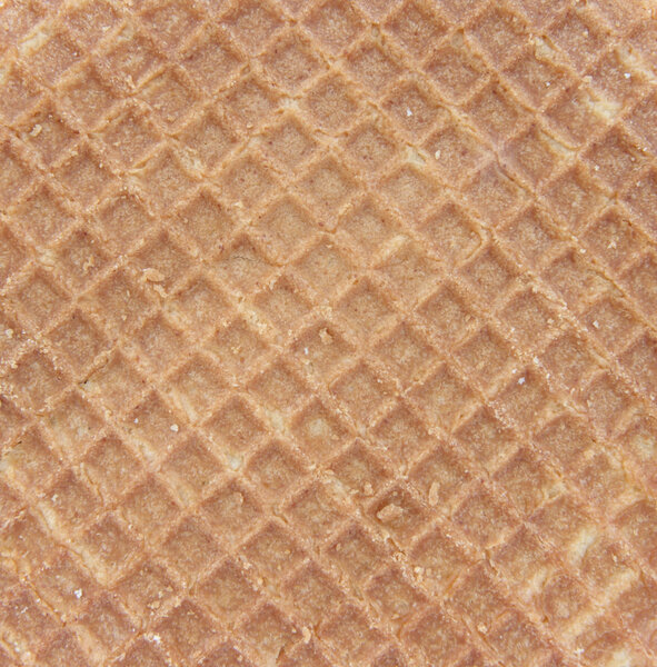 Wafer structure