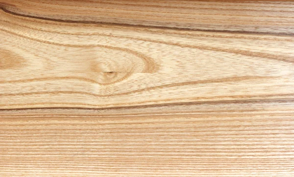 Ash wood — Stock Photo, Image