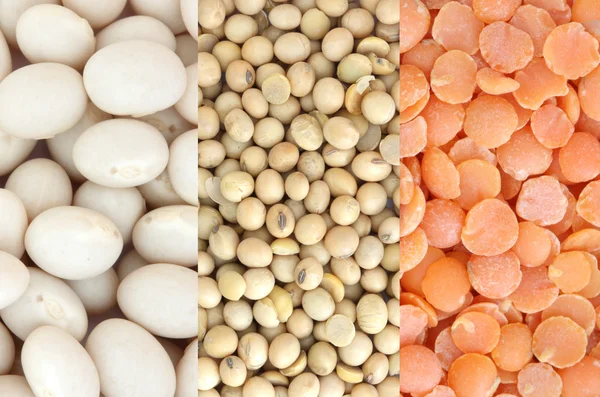 Red lentil, soya and white beans — Stock Photo, Image