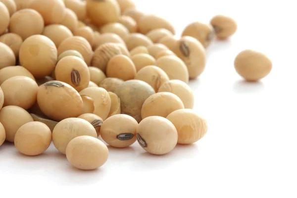 Soya beans — Stock Photo, Image