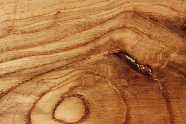 Τέφρα ξύλου — Φωτογραφία Αρχείου