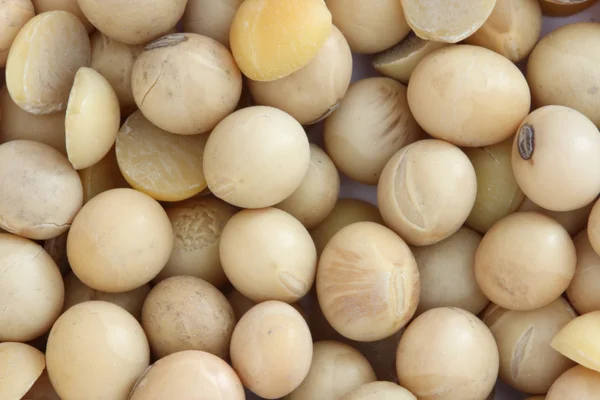 간장 콩 — 스톡 사진