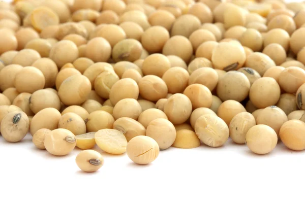 Soya beans on white — Stock Photo, Image