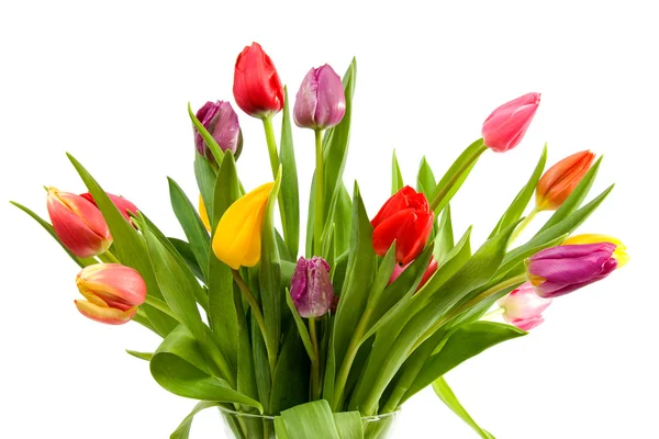 Голландские тюльпаны в стеклянной вазе — стоковое фото