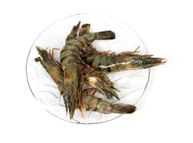 Plate with raw shrimp clipart