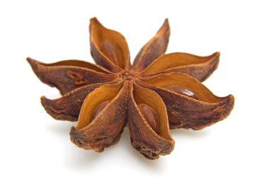 Star anise in closeup clipart