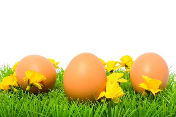 Three brown chicken eggs on grass — Stock Photo, Image