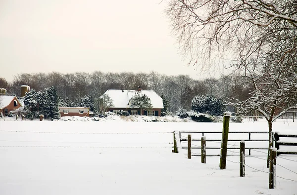 Dutch farm in the snow — Stock Photo, Image