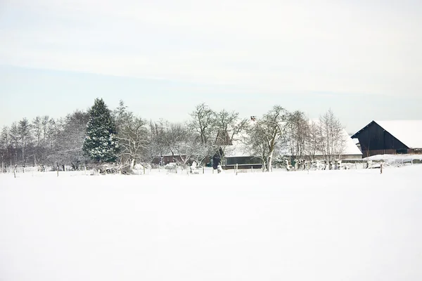 Ολλανδική αγρόκτημα στο χιόνι — Φωτογραφία Αρχείου