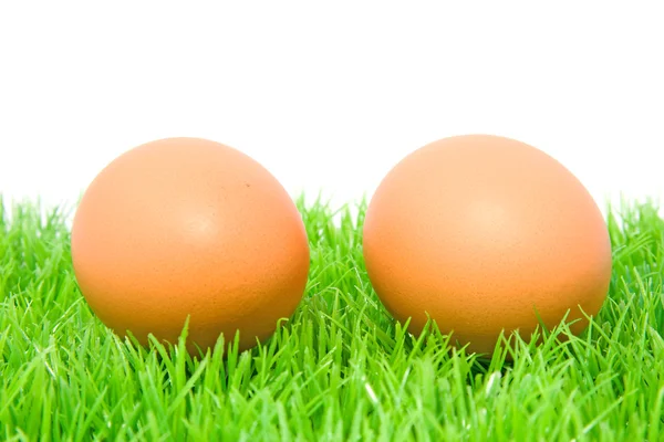 Zwei Hühnereier auf Gras — Stockfoto