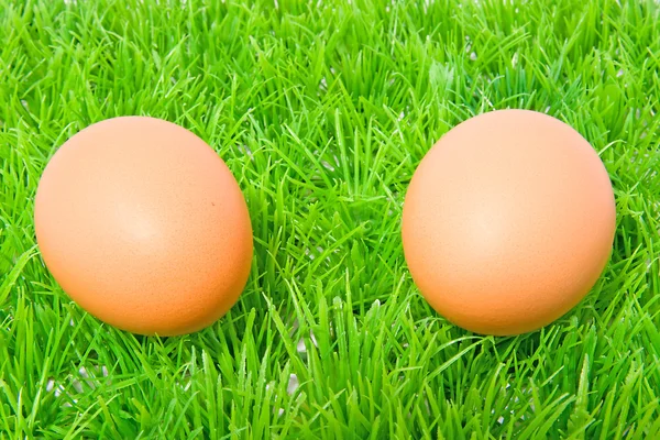 Two chicken eggs on grass — Stock Photo, Image