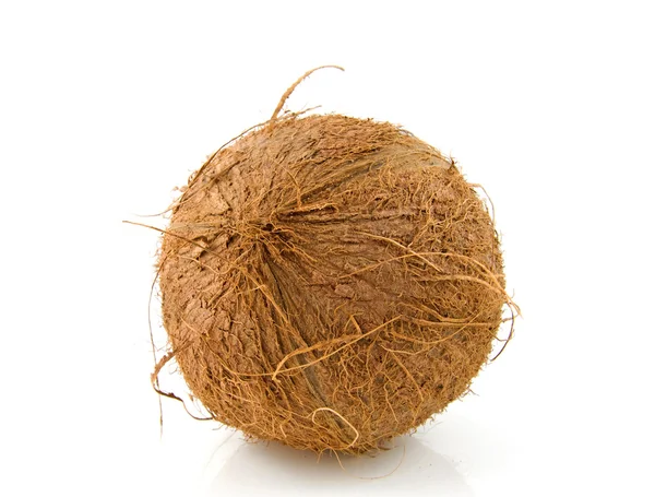 Fresh topical coconut — Stock Photo, Image