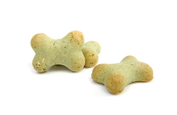 Groene hond cookies — Stockfoto
