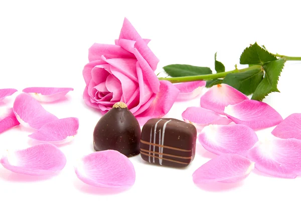 Pink rose leaves with chocolate bonbons — Stock Photo, Image