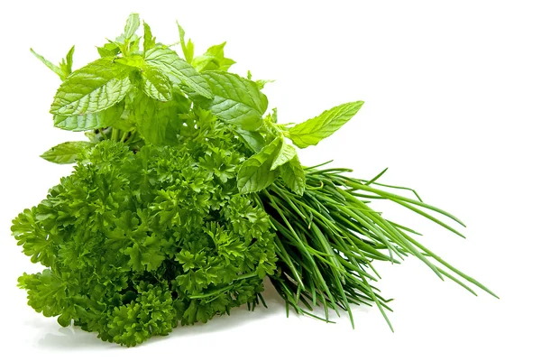Plants of fresh herbs — Stock Photo, Image