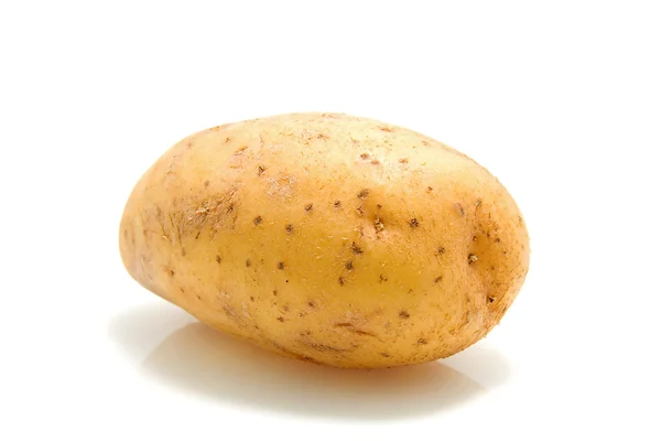 One unpeeled raw potato — Stock Photo, Image